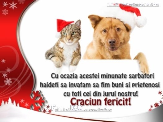 Felicitari de craciun