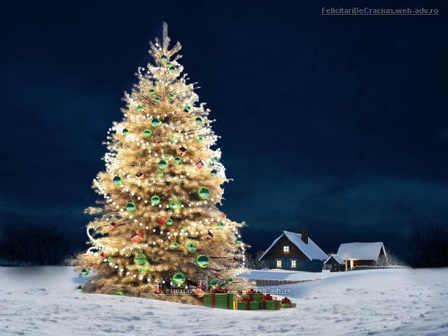 Pom de craciun