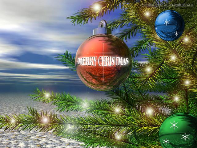 Ilustrata cu bradulet