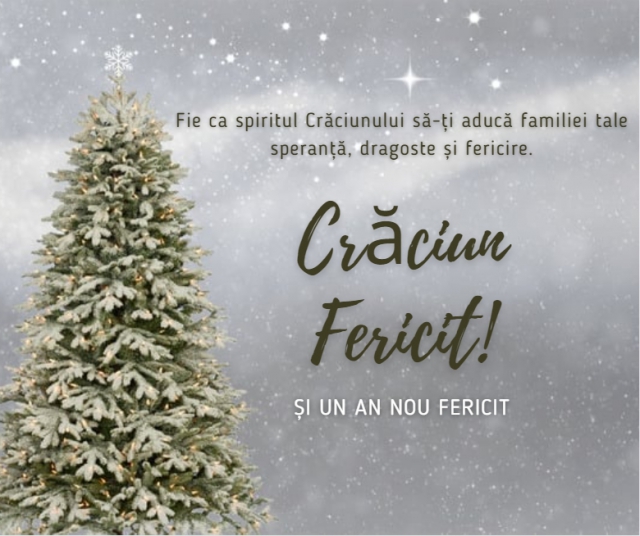 Ilustrata cu bradul de craciun